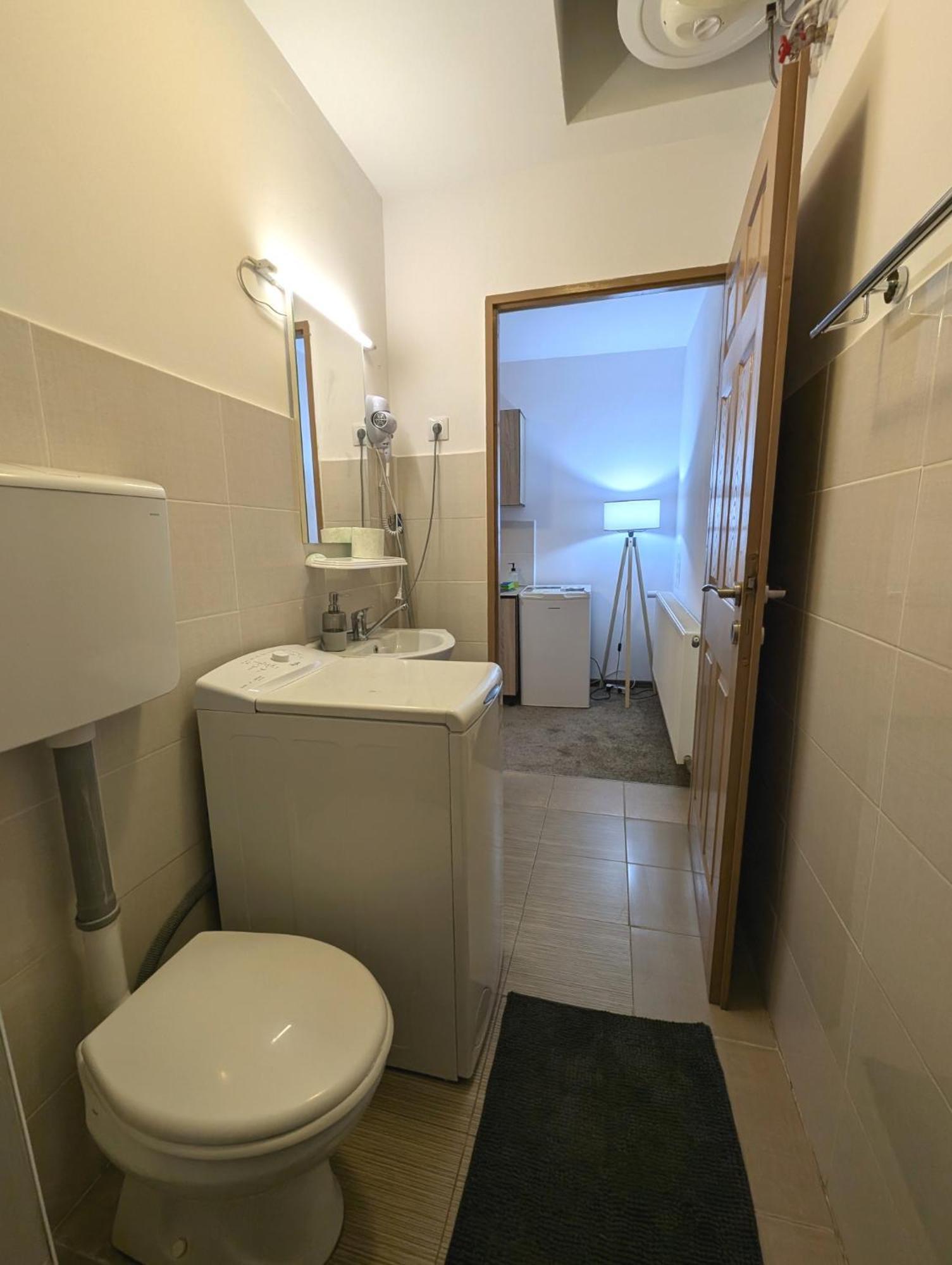 Sandor Central Studio Apartment Târgu-Mureş Dış mekan fotoğraf