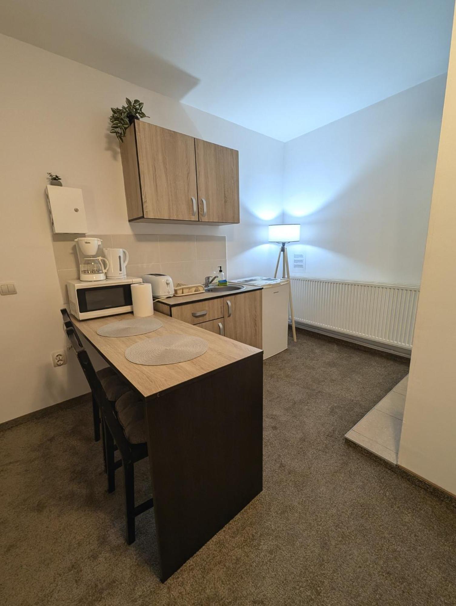 Sandor Central Studio Apartment Târgu-Mureş Dış mekan fotoğraf